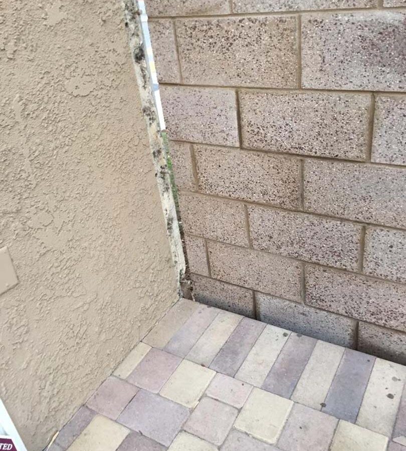 New burnished freestanding wall for a backyard along the owner’s property line. The owner wanted us to work around his existing pavers and did not allow us to cut it to close the gap between the wall and the garage.