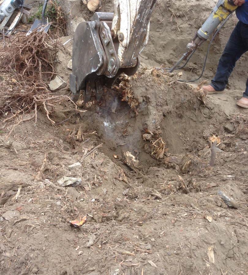 Demolition of an existing tree stump that interfered with the construction of the new freestanding wall.