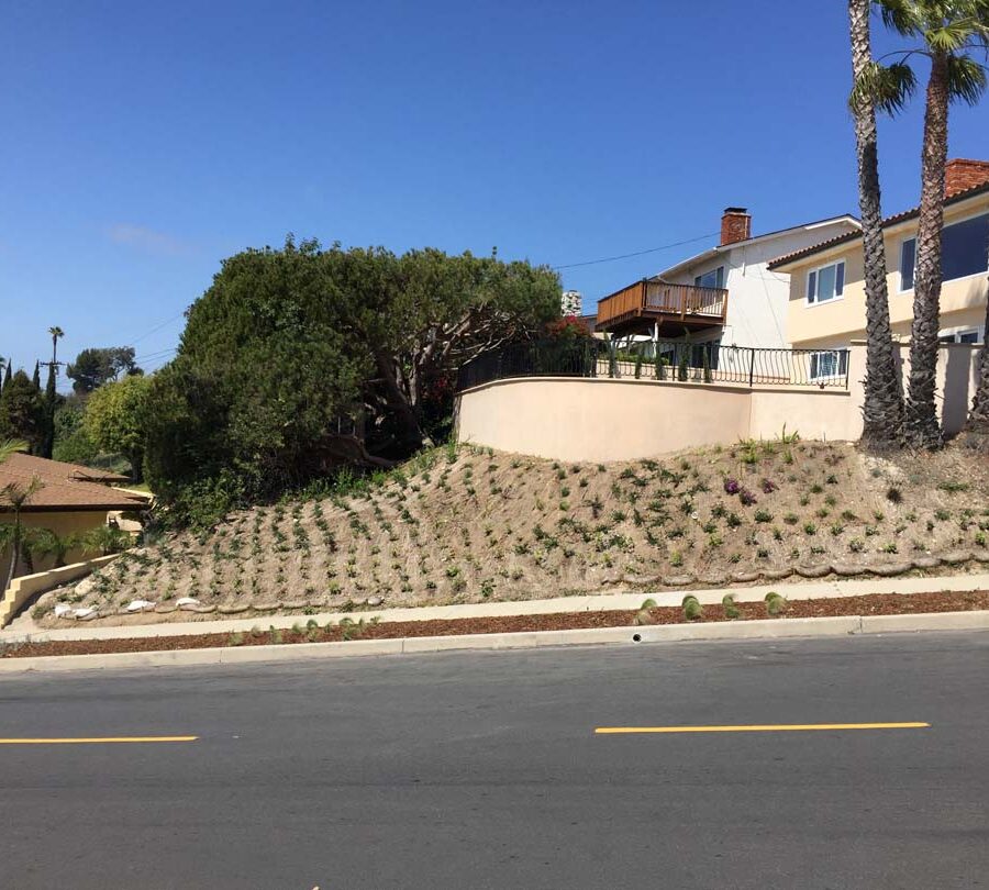 New retaining wall creating more flat area for a pool deck while simultaneously creating an open view for the owner. New plants with a drop system was installed. Pacificland Constructors