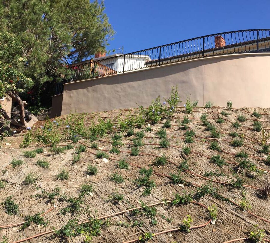 New retaining wall creating more flat area for a pool deck while simultaneously creating an open view for the owner. Pacificland Constructors