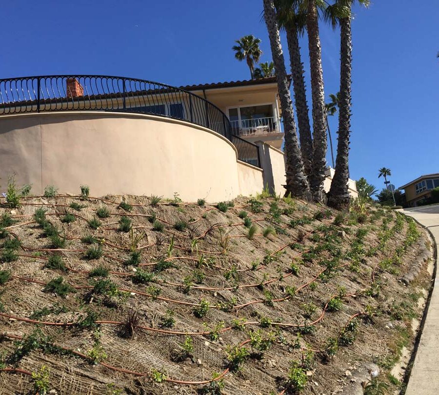 New retaining wall creating more flat area for a pool deck while simultaneously creating an open view for the owner. New plants with a drop system was installed. Pacificland Constructors